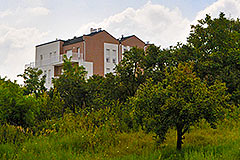 Amadeo zapadna strana
