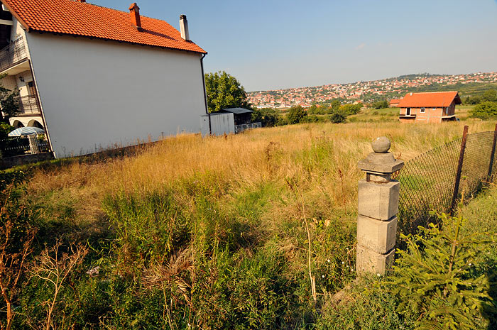 Basilio plac 1