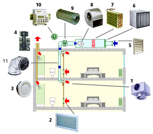 Continuous mechanical supply, natural extract