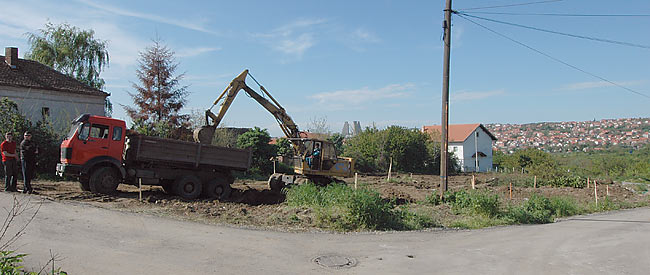 Continuing Amadeo's land preparation 02