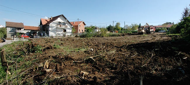 Continuing Amadeo's land preparation 03