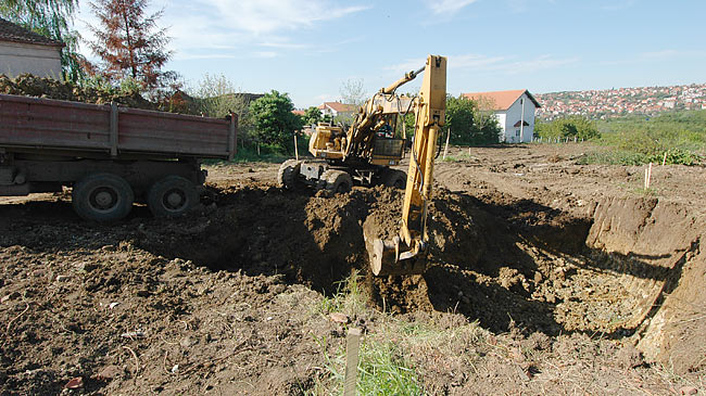 Continuing Amadeo's land preparation 04