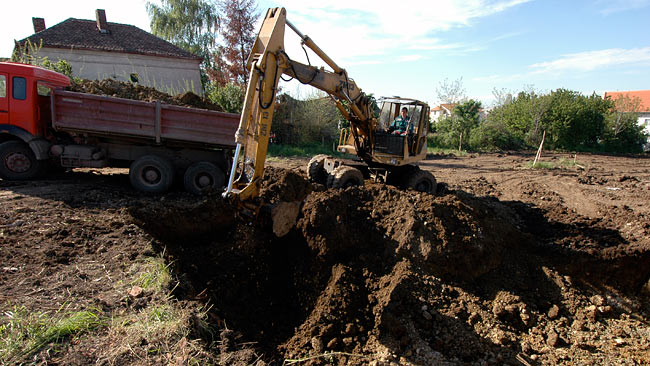 Continuing Amadeo's land preparation 05