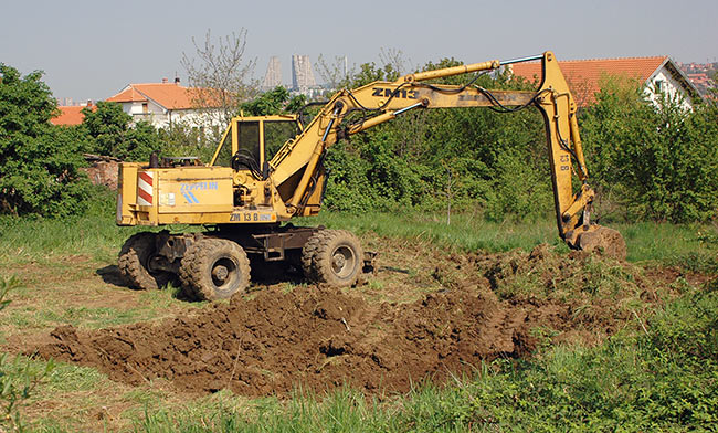 Starting Amadeo's land preparation 01