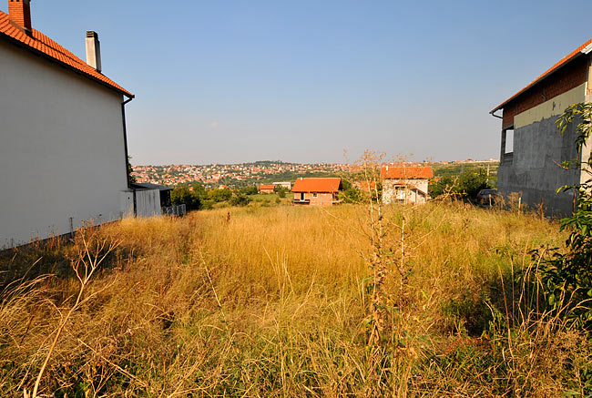 Basilio land 02