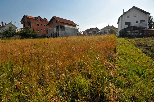 Basilio land 04