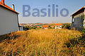 Announcing Basilio, the next project from Kuće Beodom